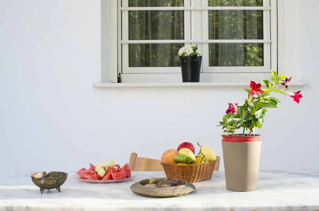 Garden House Palaio Faliro Athena Bagian luar foto